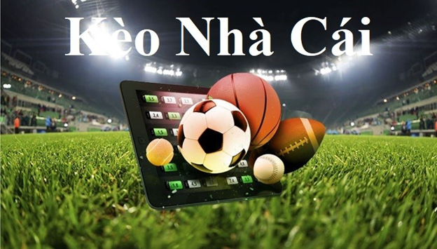 Khám Phá Thế Giới Giải Trí Tại BK8